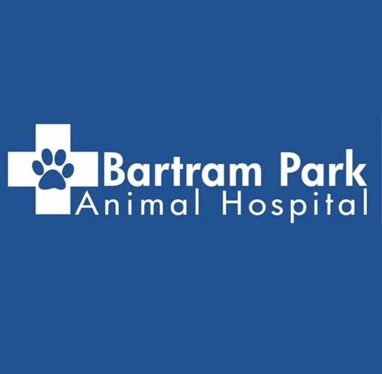 Bartram Park Animal Hospital | Veterinarian in Jacksonville, FL