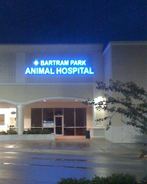 About Us | Bartram Park Animal Hospital in Jacksonville, FL